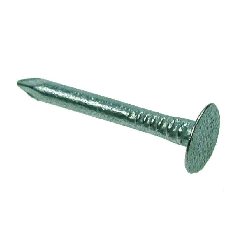 Extra Large Head Clout Nail, 20mm, Galvanised, 1/2kg