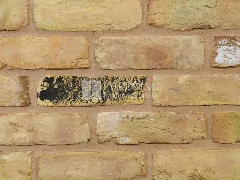 Imperial Yellow Stock Facing Brick 65mm (Each)