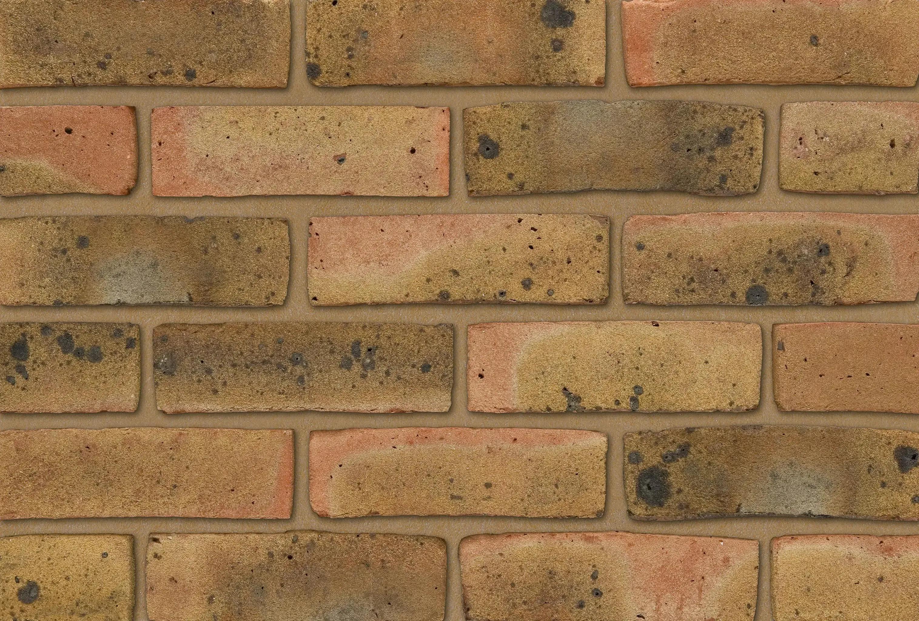 Ibstock Brick Coleridge Yellow Multi (Each)