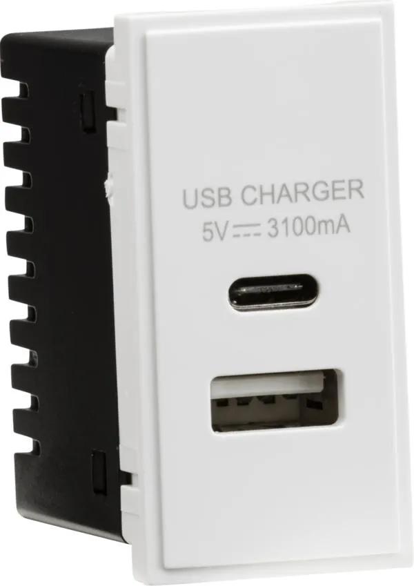 Dual USB Charger (3.1A) Module 25 x 50mm – White (White)