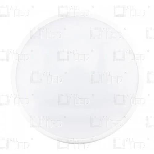 ABP20WH/40 Tyson IP65 IK06 CCT BULKHEAD 4000K WHITE BEZEL (White)