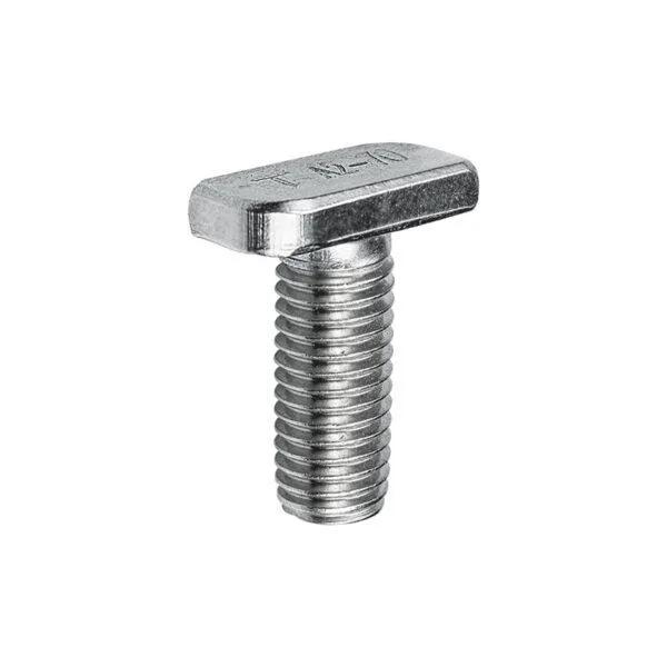 T-bolt M10 (K-19-30)